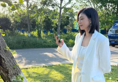 陈意涵吃瓜视频大全集,揭秘娱乐圈幕后故事