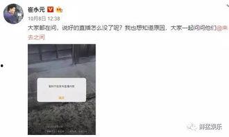 小崔吃瓜视频完整版,揭秘娱乐圈幕后真相，完整版大揭秘