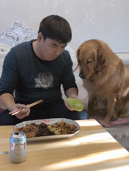 主人吃瓜狗吃瓜皮视频下载