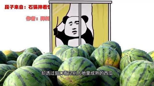 和二表哥吃瓜视频,一场娱乐与美食的盛宴