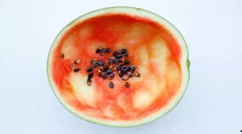 用勺子吃瓜的搞笑视频,这瓜太有才了！