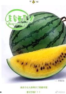 东台吃瓜事件视频最新版,最新视频揭露惊人真相