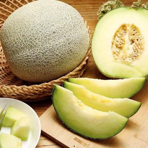 胖木鱼吃蜜瓜视频大全集