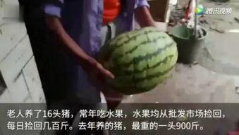 吃瓜视频一般都在哪里看