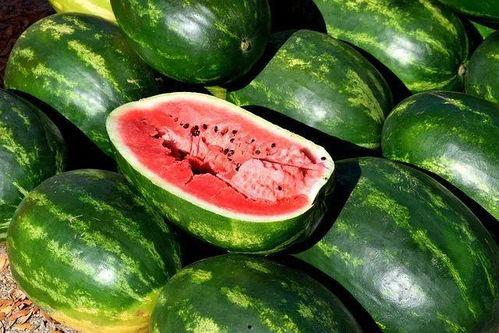 最近销售吃瓜视频大全,盘点近期火爆全网吃瓜视频大全